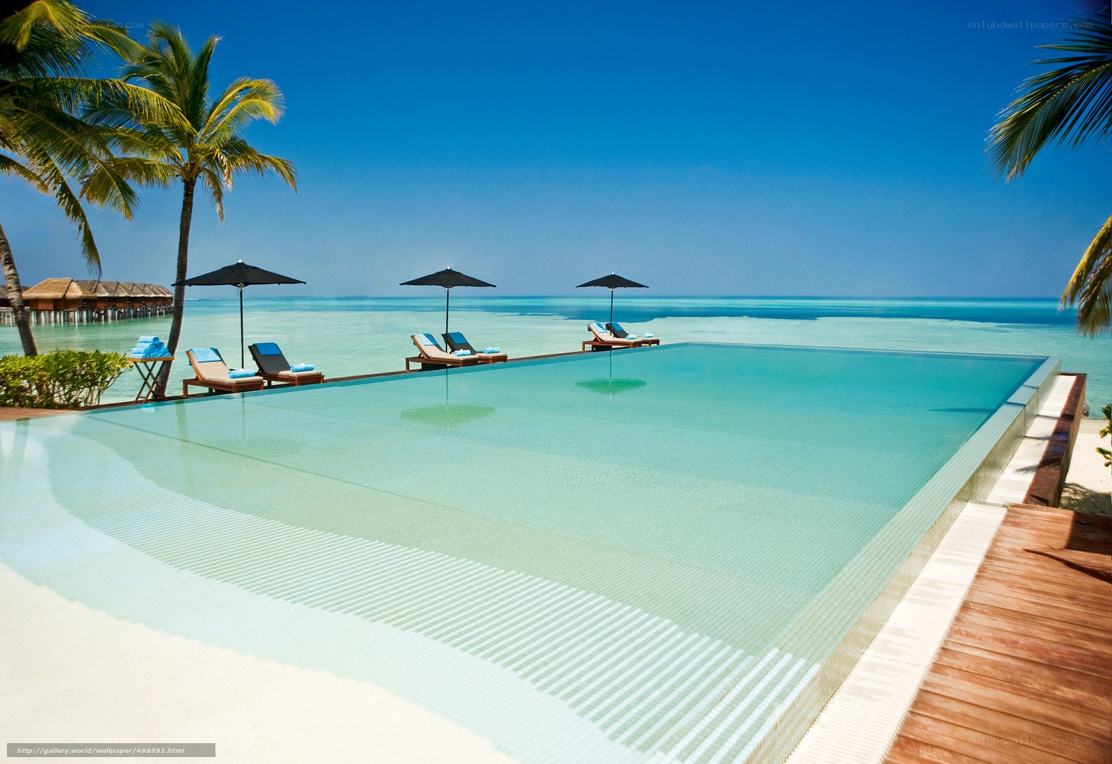 infinity pool at tropical resort