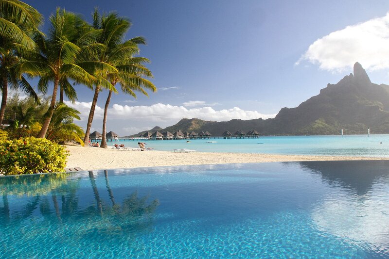 Infinity Pool at Tropical Resort — Blue