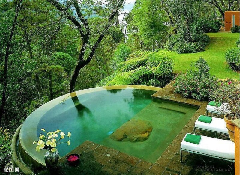 Infinity Pool in Garden — Green