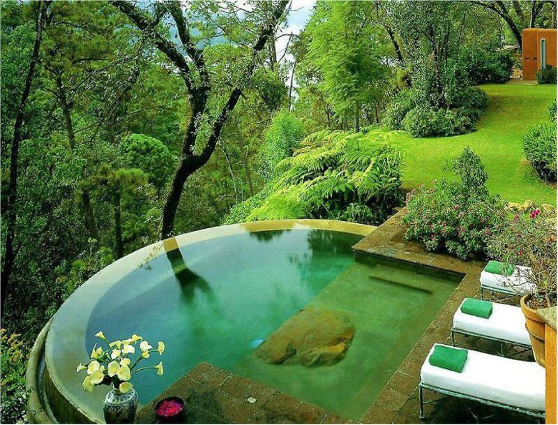 Infinity Pool in Garden