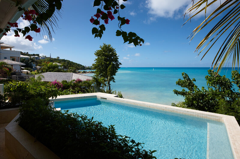 Infinity Pool Overlooking Ocean — Blue, Serene, Afternoon, Photograph, Palm Trees, Flowers