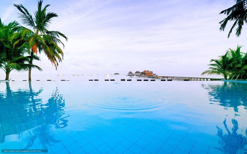 Infinity pool overlooking tropical resort