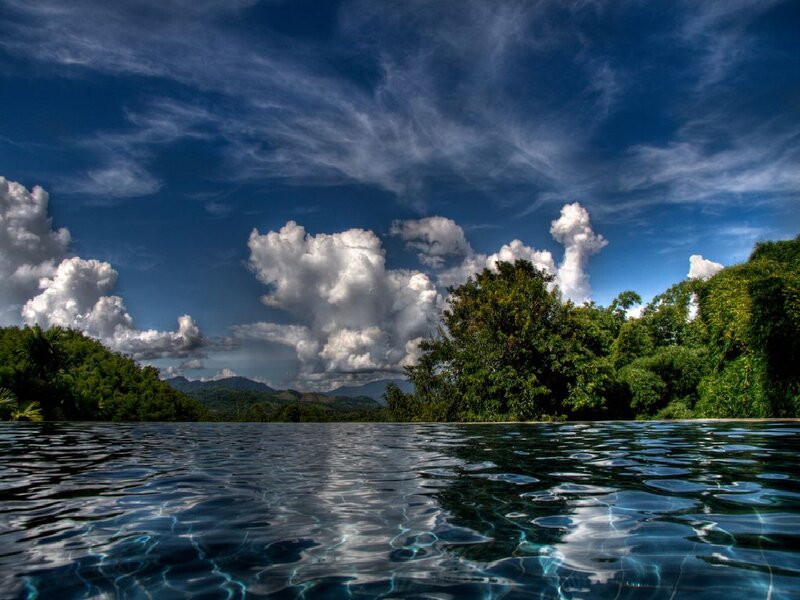 Infinity Pool with Forest View