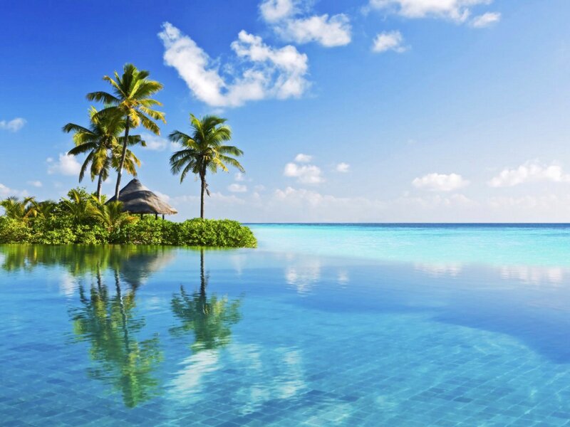 Infinity Pool with Island