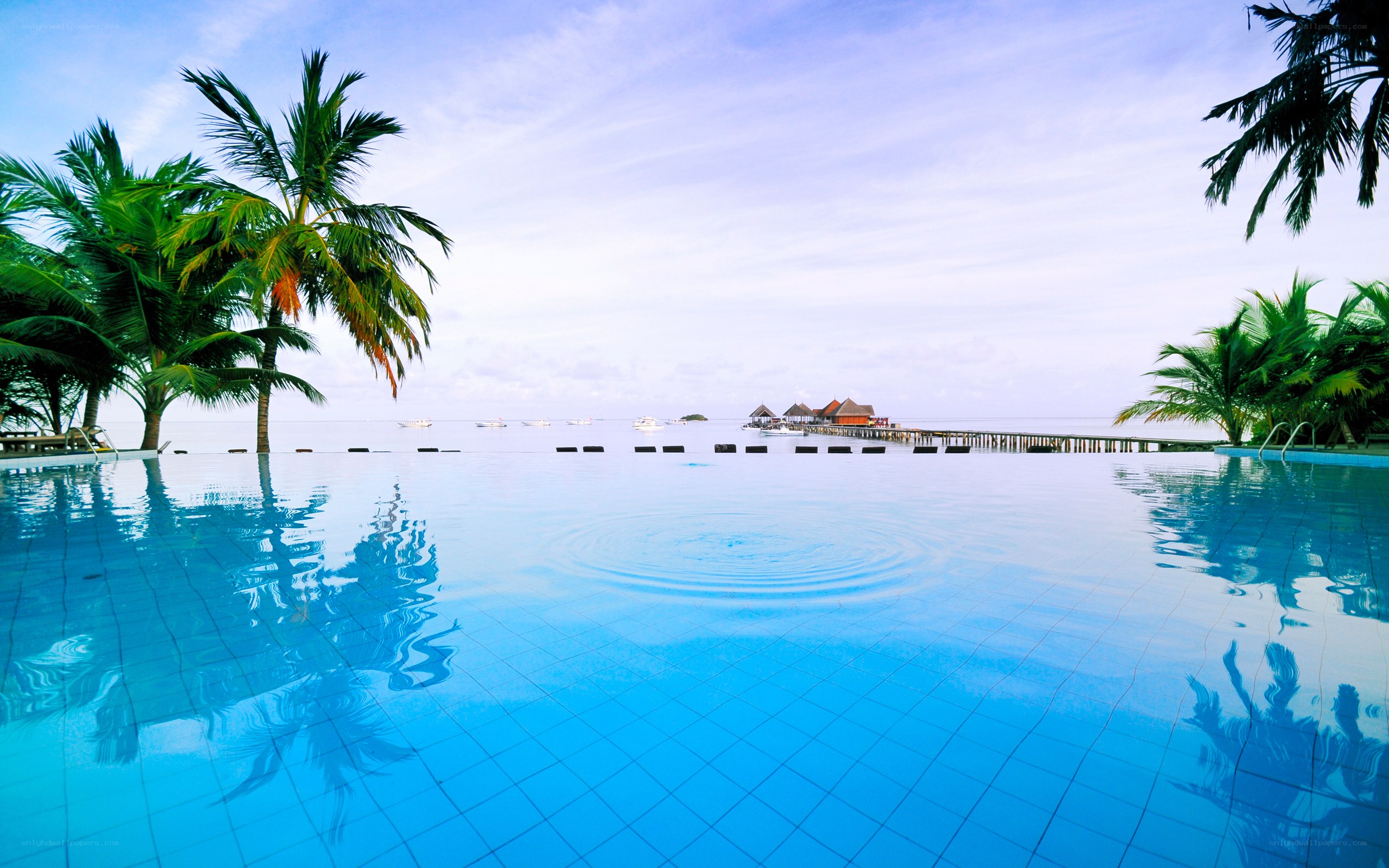 Infinity pool with ocean view