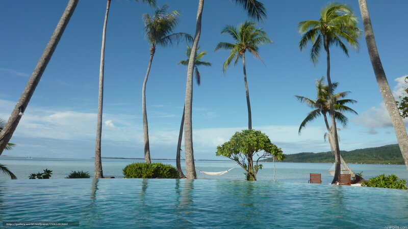 Infinity Pool with Palm Trees — Blue, Serene, Afternoon, Photograph, Palm Trees, Hammock, Ocean