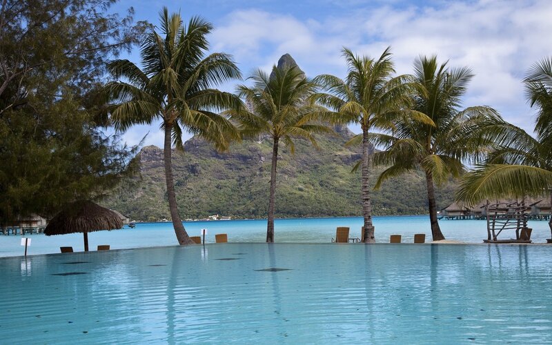 Infinity Pool with Palm Trees — Blue, Serene, Afternoon, Photograph, Palm Trees, Mountain, Ocean