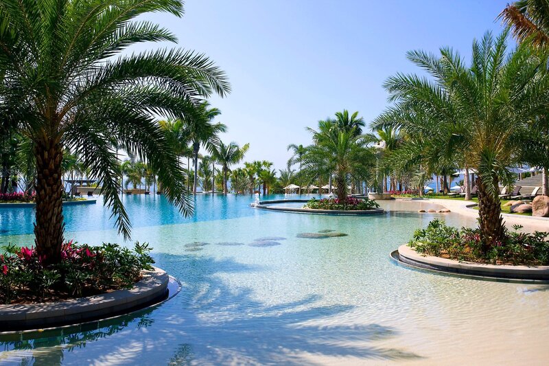 Infinity Pool with Palm Trees — Blue, Serene, Afternoon, Photograph