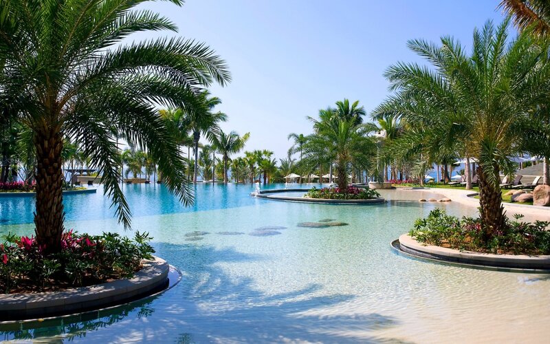 Infinity Pool with Palm Trees — Blue, Serene, Afternoon