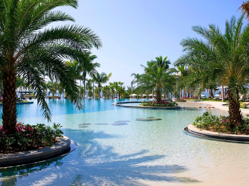 Infinity Pool with Palm Trees — Blue, Serene