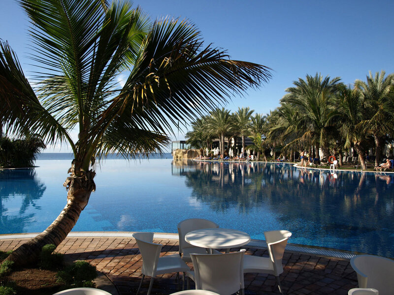 Infinity Pool with Palm Trees