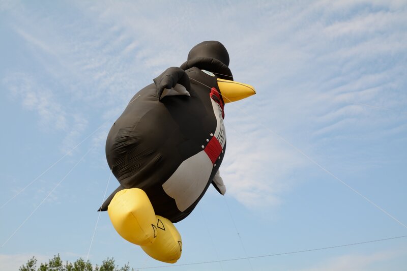 Inflatable Penguin Balloon