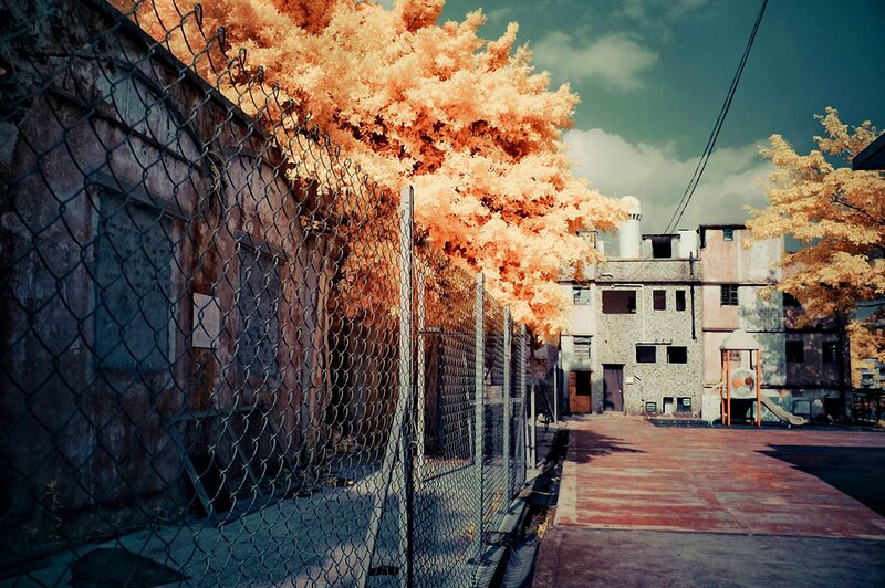 Infrared alley with chain-link fence