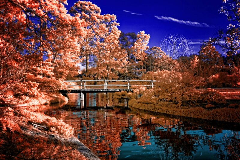 Infrared Bridge over Pond