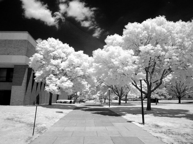 Infrared campus pathway