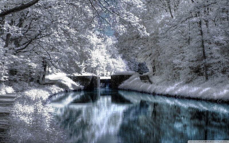 Infrared Canal Scene — White, Serene, Photograph