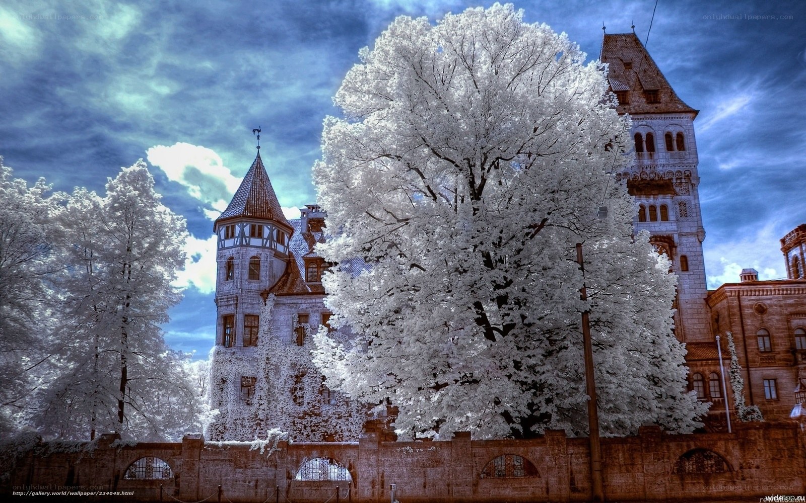Infrared castle and trees