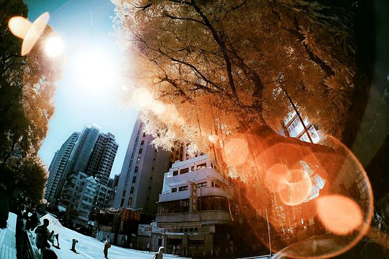 Infrared City Street — Orange