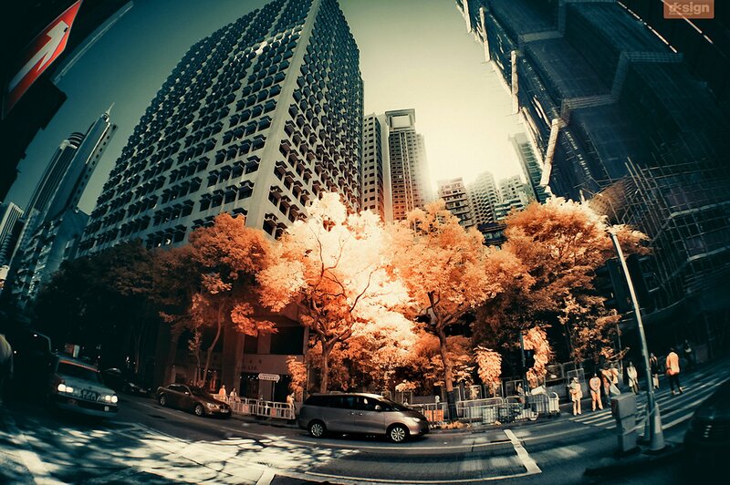 Infrared City Street