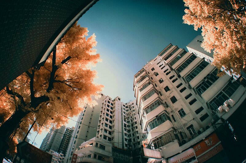 Infrared cityscape with trees