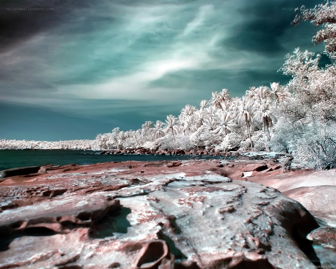 Infrared coastal landscape