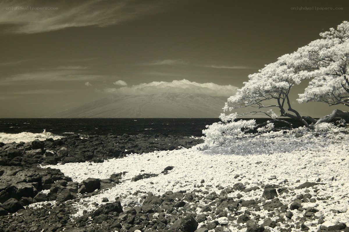 Infrared coastal landscape