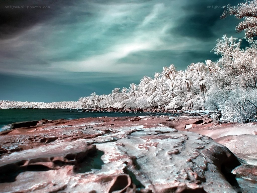 Infrared coastal landscape