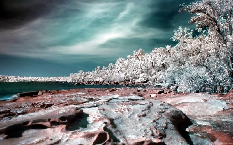 Infrared Coastal Landscape — White