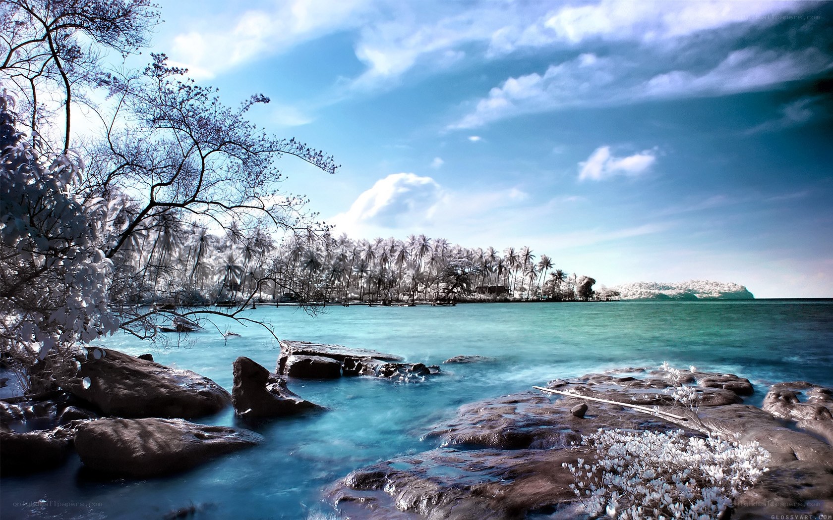 Infrared coastal landscape