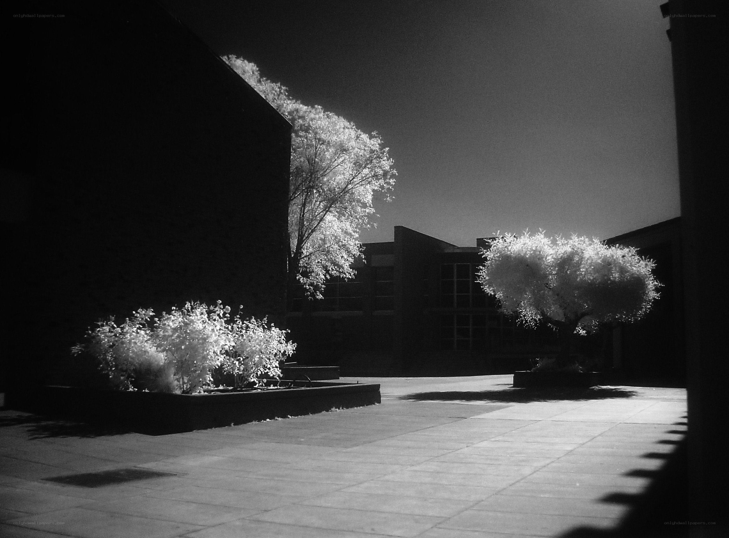 Infrared courtyard scene