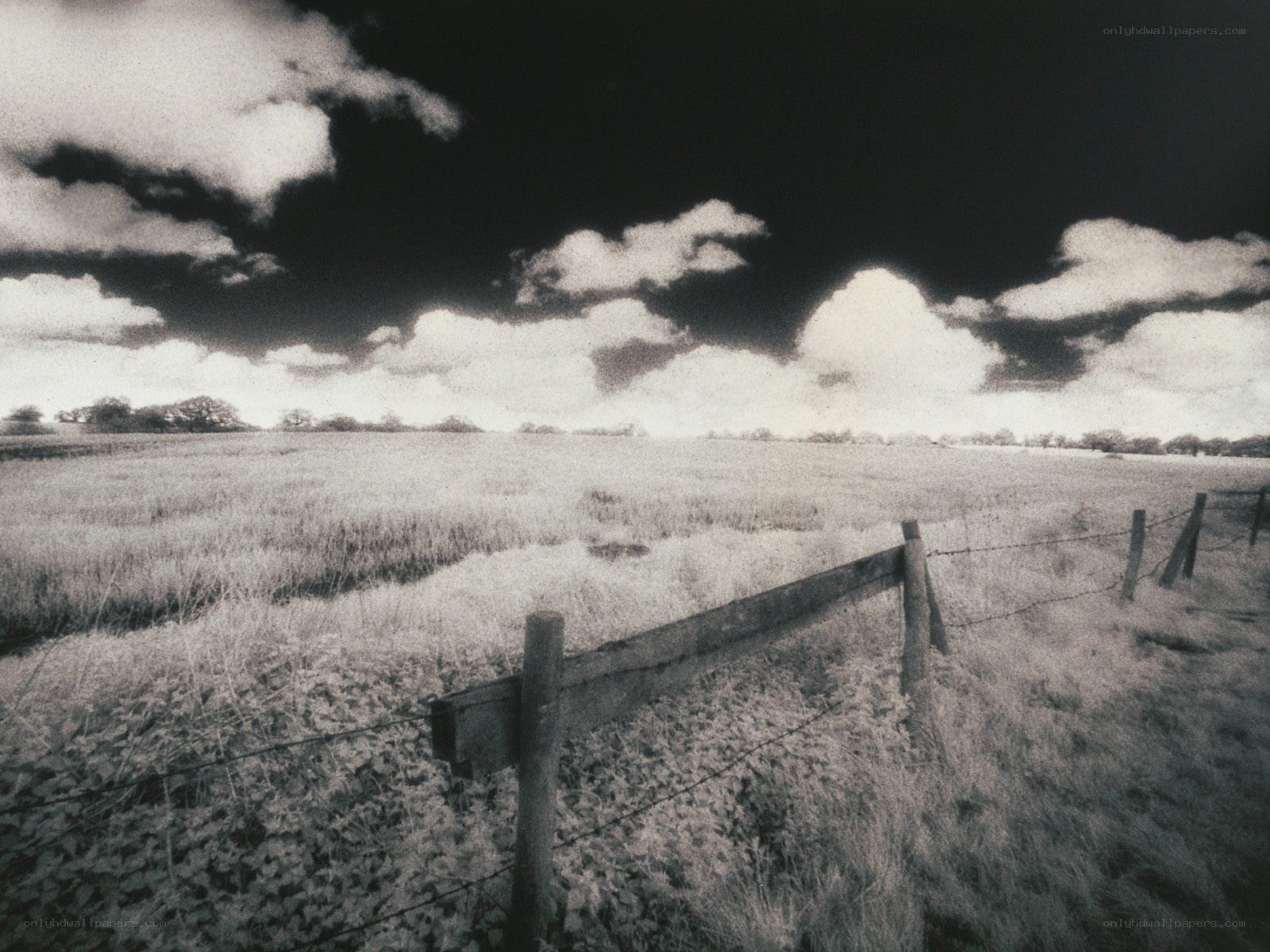 Infrared field with fence