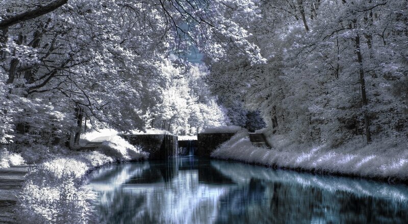 Infrared Forest Canal