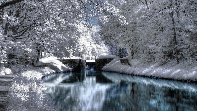 Infrared Forest Canal — White