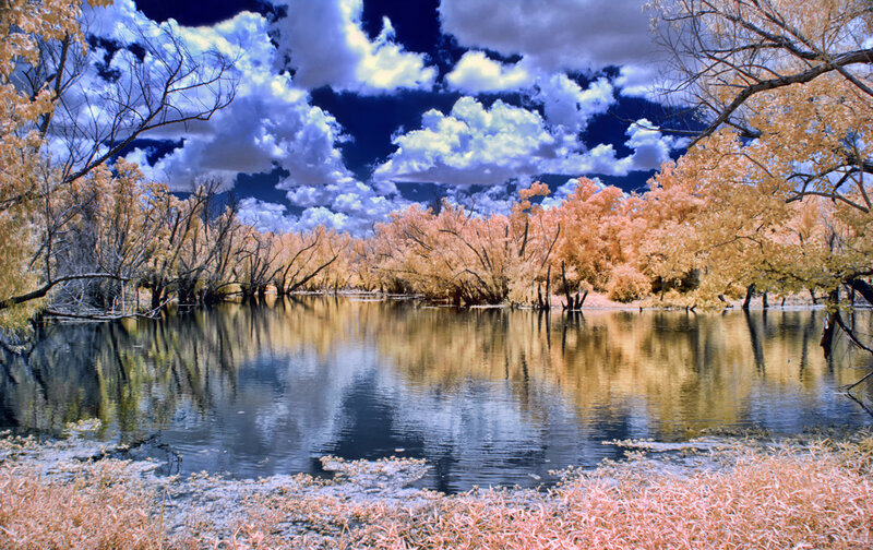 Infrared Forest Lake — Blue, Dramatic
