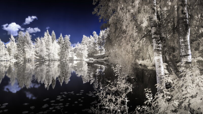 Infrared Forest Lake — Blue, Serene, Night, Photograph