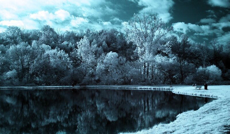 Infrared Forest Lake — Blue, Serene, Photograph, Trees, Bench