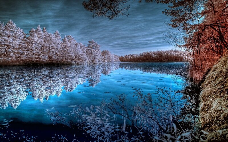 Infrared Forest Lake — Blue, Serene, Photograph, Trees, Reflection