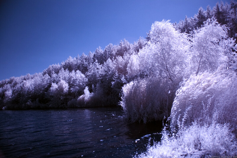 Infrared Forest Lake — Blue, Serene, Photograph, Trees