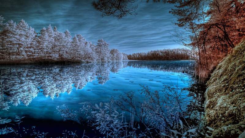 Infrared Forest Lake — Blue, Serene