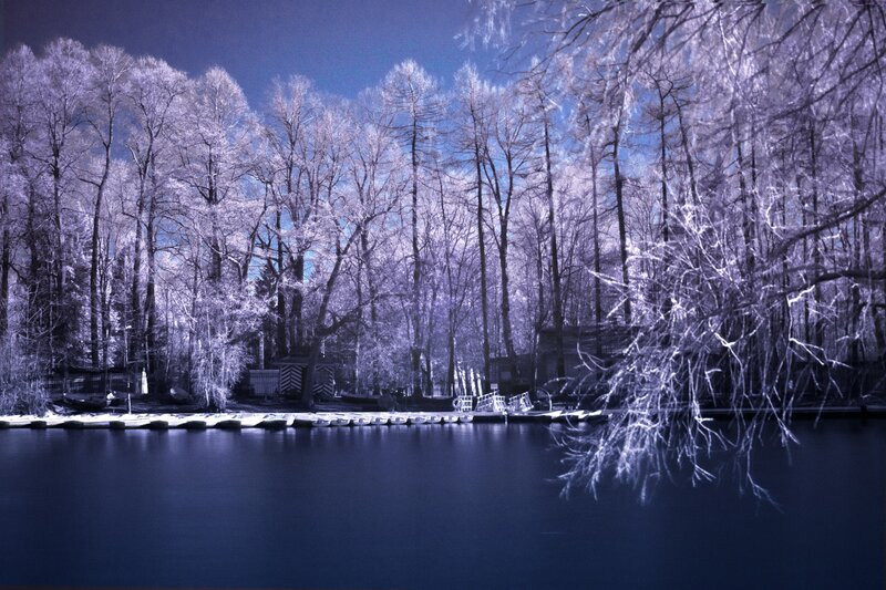 Infrared Forest Lake — Blue, Serene, Winter, Photograph