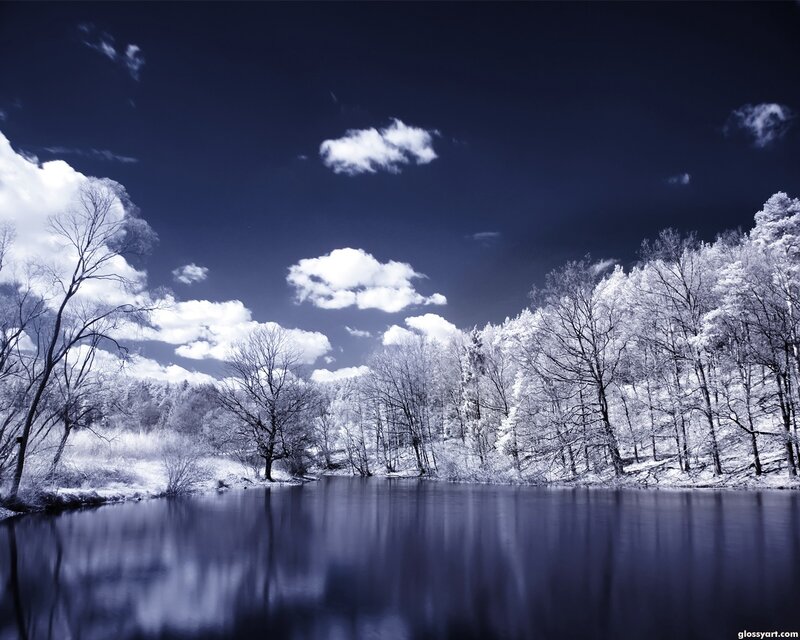 Infrared Forest Lake — Blue, Serene, Winter
