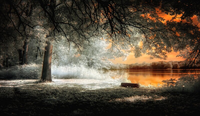 Infrared Forest Lake — Orange, Serene