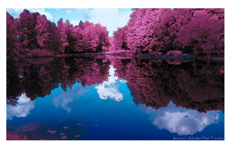 Infrared Forest Lake — Pink, Serene