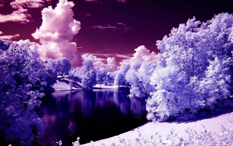 Infrared Forest Lake — Purple, Dramatic, Photograph