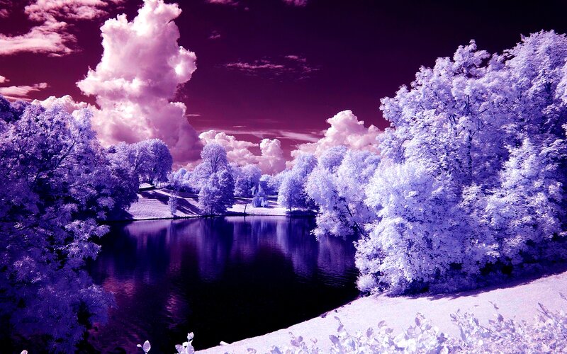Infrared Forest Lake — Purple, Dramatic