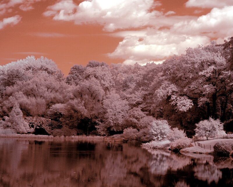 Infrared Forest Lake — Red
