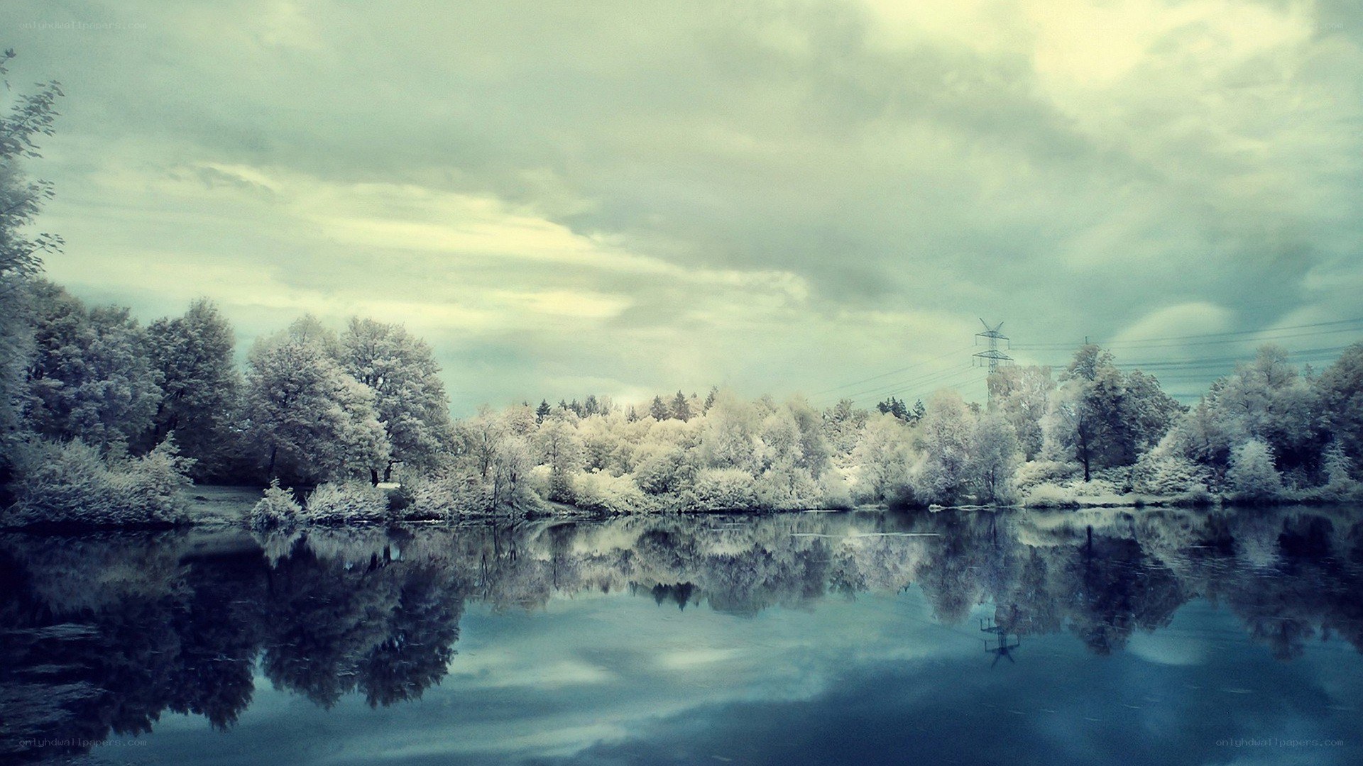 Infrared forest lake scene