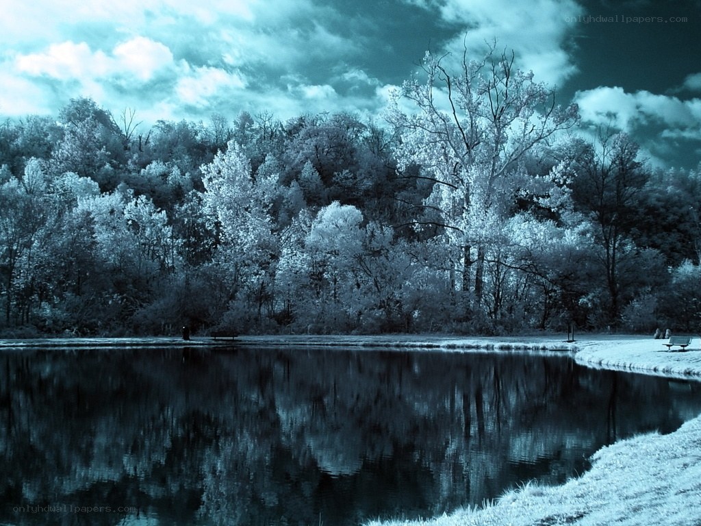 Infrared forest lake scene