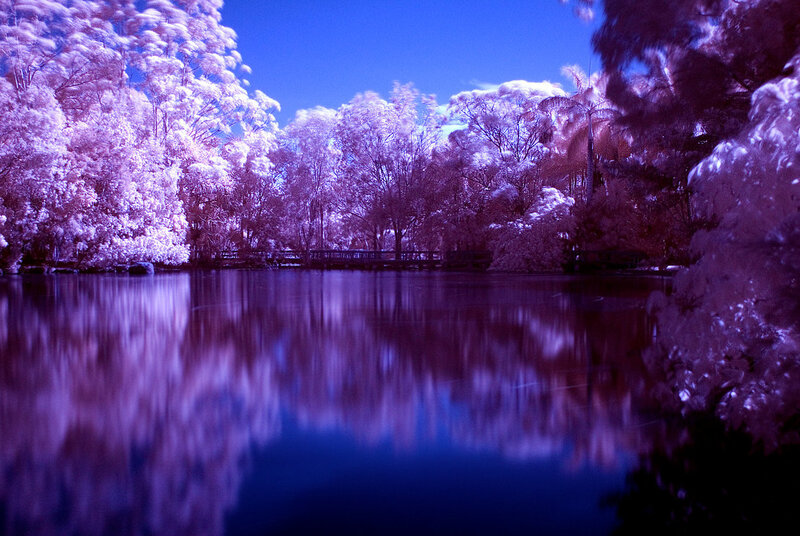 Infrared Forest Lake