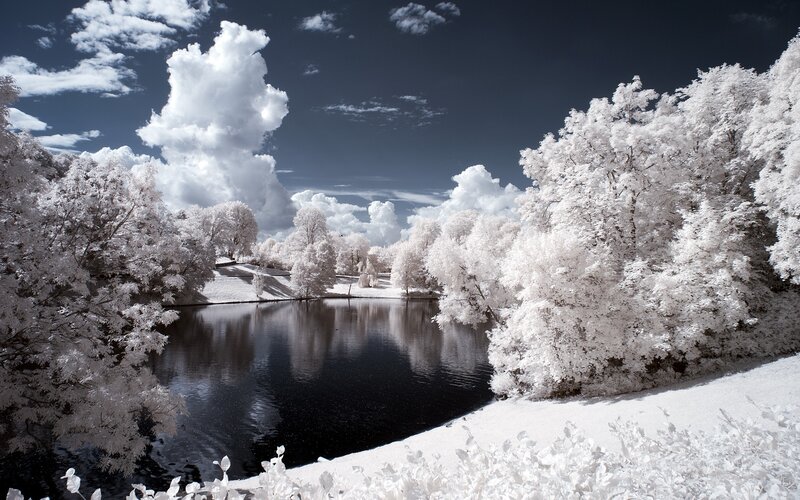 Infrared Forest Lake — White, Dramatic, Photograph, Trees, Clouds